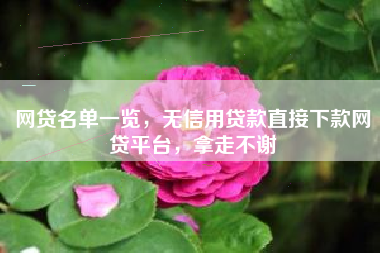网贷名单一览，无信用贷款直接下款网贷平台，拿走不谢
