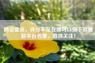 网贷盘点，评分不足在哪可以贷下款借款平台名单，值得关注！