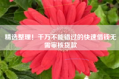 精选整理！千万不能错过的快速借钱无需审核贷款