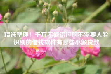 精选整理！千万不能错过的不需要人脸识别的借钱软件有哪些小额贷款