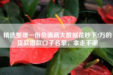 精选整理一份负债高大数据花秒下2万的贷款借款口子名单，拿走不谢