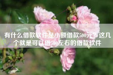 有什么借款软件是小额借款500元？这几个就是可以借500左右的借款软件