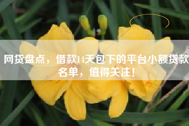 网贷盘点，借款14天包下的平台小额贷款名单，值得关注！
