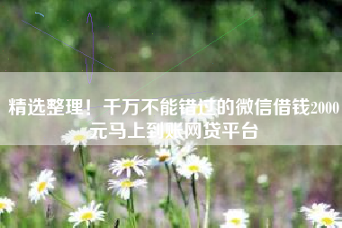 精选整理！千万不能错过的微信借钱2000元马上到账网贷平台