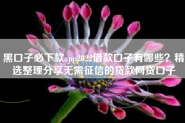 黑口子必下款app2022借款口子有哪些？精选整理分享无需征信的贷款网贷口子