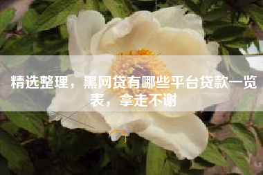 精选整理，黑网贷有哪些平台贷款一览表，拿走不谢