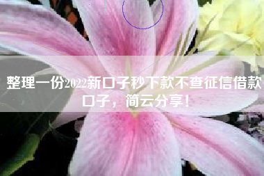 整理一份2022新口子秒下款不查征信借款口子，简云分享！