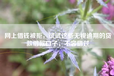 网上借钱被拒，试试这些无视逾期的贷款借款口子，不容错过