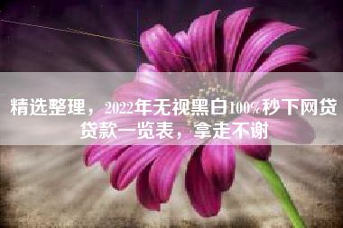 精选整理，2022年无视黑白100%秒下网贷贷款一览表，拿走不谢