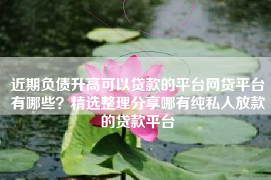 近期负债升高可以贷款的平台网贷平台有哪些？精选整理分享哪有纯私人放款的贷款平台