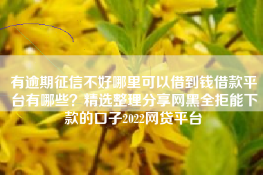 有逾期征信不好哪里可以借到钱借款平台有哪些？精选整理分享网黑全拒能下款的口子2022网贷平台