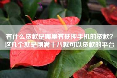有什么贷款是哪里有抵押手机的贷款？这几个就是刚满十八就可以贷款的平台