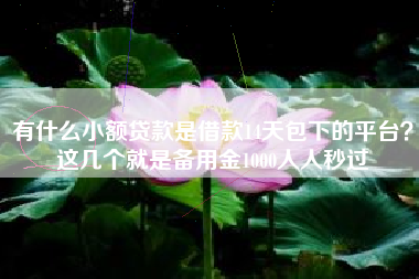 有什么小额贷款是借款14天包下的平台？这几个就是备用金1000人人秒过