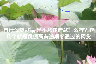 有什么贷款app是不愁花借款怎么样？这几个就是负债高有逾期必通过的网贷