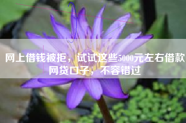 网上借钱被拒，试试这些5000元左右借款网贷口子，不容错过