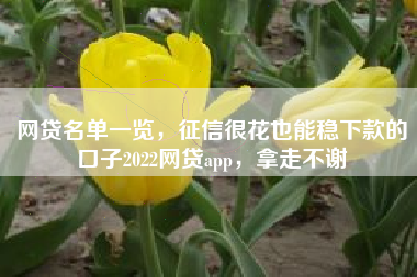 网贷名单一览，征信很花也能稳下款的口子2022网贷app，拿走不谢