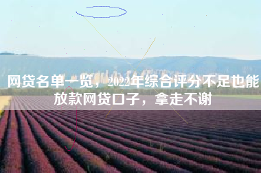 网贷名单一览，2022年综合评分不足也能放款网贷口子，拿走不谢