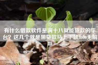 有什么借款软件是满十八就能贷款的平台？这几个就是黑贷款马上下款3000无前期