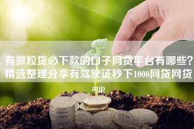 有微粒贷必下款的口子网贷平台有哪些？精选整理分享有驾驶证秒下1000网贷网贷app