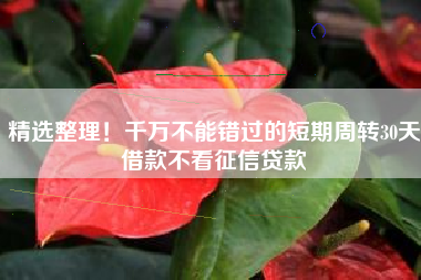 精选整理！千万不能错过的短期周转30天借款不看征信贷款