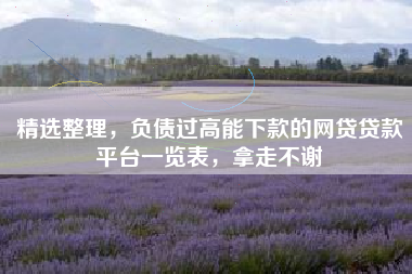 精选整理，负债过高能下款的网贷贷款平台一览表，拿走不谢
