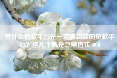有什么借款平台是一定借到钱的贷款平台？这几个就是急需借钱3000