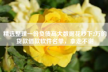 精选整理一份负债高大数据花秒下2万的贷款借款软件名单，拿走不谢