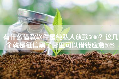 有什么借款软件是纯私人放款5000？这几个就是征信黑了哪里可以借钱应急2022