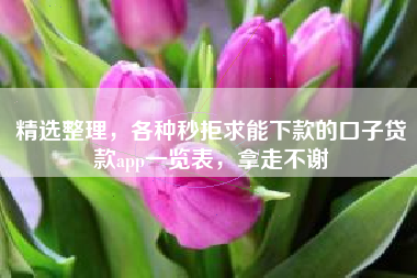 精选整理，各种秒拒求能下款的口子贷款app一览表，拿走不谢