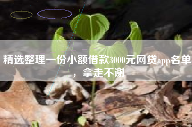 精选整理一份小额借款3000元网贷app名单，拿走不谢