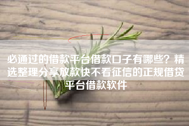 必通过的借款平台借款口子有哪些？精选整理分享放款快不看征信的正规借贷平台借款软件