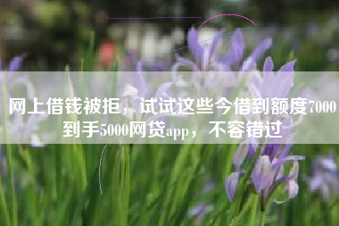 网上借钱被拒，试试这些今借到额度7000到手5000网贷app，不容错过