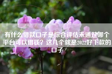 有什么借款口子是综合评估未通过哪个平台可以借钱？这几个就是2022好下款的口子