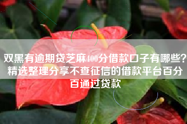 双黑有逾期贷芝麻400分借款口子有哪些？精选整理分享不查征信的借款平台百分百通过贷款