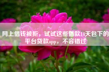 网上借钱被拒，试试这些借款14天包下的平台贷款app，不容错过