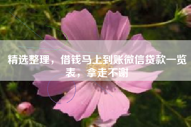 精选整理，借钱马上到账微信贷款一览表，拿走不谢