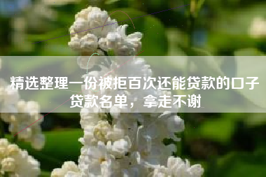 精选整理一份被拒百次还能贷款的口子贷款名单，拿走不谢