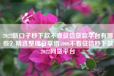 2022新口子秒下款不查征信贷款平台有哪些？精选整理分享借5000不看征信秒下款2022网贷平台