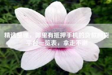精选整理，哪里有抵押手机的贷款网贷平台一览表，拿走不谢