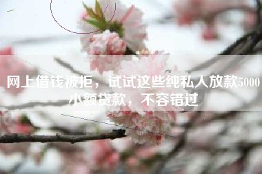 网上借钱被拒，试试这些纯私人放款5000小额贷款，不容错过