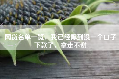 网贷名单一览，我已经黑到没一个口子下款了，拿走不谢