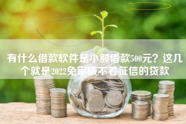 有什么借款软件是小额借款500元？这几个就是2022免审核不看征信的贷款
