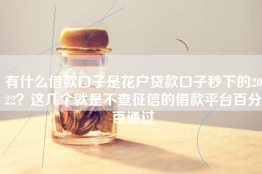 有什么借款口子是花户贷款口子秒下的2022？这几个就是不查征信的借款平台百分百通过