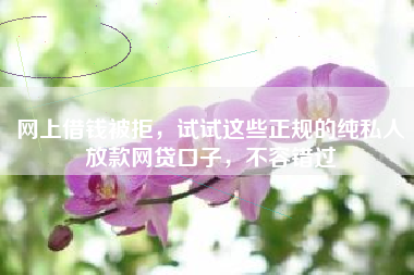 网上借钱被拒，试试这些正规的纯私人放款网贷口子，不容错过