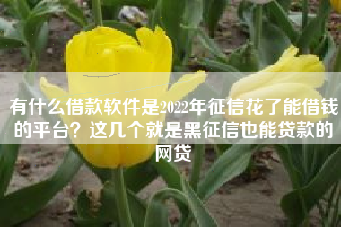 有什么借款软件是2022年征信花了能借钱的平台？这几个就是黑征信也能贷款的网贷