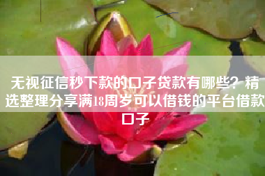 无视征信秒下款的口子贷款有哪些？精选整理分享满18周岁可以借钱的平台借款口子