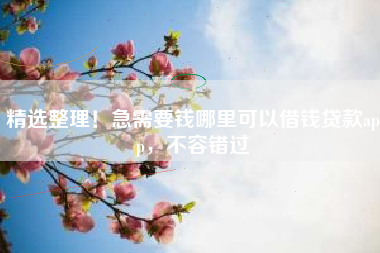 精选整理！急需要钱哪里可以借钱贷款app，不容错过