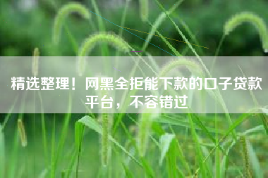 精选整理！网黑全拒能下款的口子贷款平台，不容错过