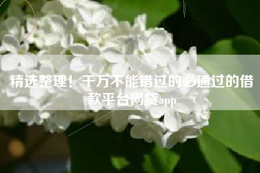 精选整理！千万不能错过的必通过的借款平台网贷app