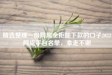 精选整理一份网黑全拒能下款的口子2022网贷平台名单，拿走不谢